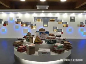 從小紙箱廠到行業(yè)航母，軟件開(kāi)發(fā)何以成為老板獲國(guó)家肯定的關(guān)鍵引擎